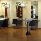 Unternehmen 8 Bild BEAUTY HAIR FRISUREN Solarien am Hamburg HH