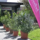 Unternehmen 2 Bild BELLISSIMA FIGURSTUDIO FÜR FRAUEN Yogaschulen, Gymnastikschulen am Stuttgart BW