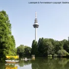 Unternehmen 7 Bild BEST WESTERN PLAZA HOTEL MANNHEIM Reisen am Mannheim BW