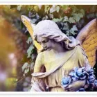 Unternehmen 1 Bild BESTATTUNGEN WALTRAUD RYRKO Soziales & Gesellschaft am Gelsenkirchen NW