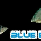 Unternehmen 5 Bild BLUE EYES PICTURES AND MORE Verlage am Duisburg NW
