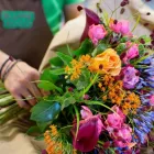 Unternehmen 1 Bild BLUME 2000 HAMBURG EPPENDORFER LANDSTRAßE Produktion und Vertrieb von Pflanzen am Hamburg HH