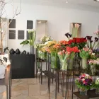 Unternehmen 2 Bild BLUMEN FISCHER Produktion und Vertrieb von Pflanzen am Stuttgart BW