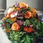 Unternehmen 3 Bild BLUMEN FISCHER Produktion und Vertrieb von Pflanzen am Stuttgart BW