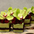 Unternehmen 1 Bild BLUMEN KAISER Töpfereien am Hamburg HH