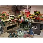 Unternehmen 1 Bild BLUMEN KLOSE Produktion und Vertrieb von Pflanzen am Bielefeld NW
