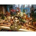 Unternehmen 5 Bild BLUMEN KLOSE Produktion und Vertrieb von Pflanzen am Bielefeld NW