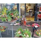 Unternehmen 3 Bild BLUMENHAUS WINTER GBR Gartenbauunternehmen, Landschaftsbauunternehmen am Duisburg NW