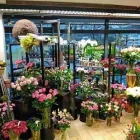 Unternehmen 4 Bild BLUMENHAUS WINTER GBR Gartenbauunternehmen, Landschaftsbauunternehmen am Duisburg NW