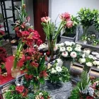 Unternehmen 10 Bild BLUMENHAUS WINTER GBR Gartenbauunternehmen, Landschaftsbauunternehmen am Duisburg NW
