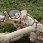 Unternehmen 7 Bild BRILLEN LAGER VERKAUF Optiker am Duisburg NW