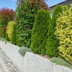 Unternehmen 1 Bild BUNTSPECHT BAUMPFLEGE Gartenpflege, Baumpflege am Norderstedt SH