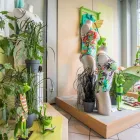 Unternehmen 11 Bild BUSCH GESUNDHEITS-ZENTRUM UNTERWAGNER GMBH & CO. KG KÖLN Schuhe Einzelhandel am Köln NW