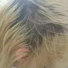 Unternehmen 7 Bild CONNY´S HAIRDESIGN Friseursalons am Köln NW