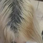 Unternehmen 8 Bild CONNY´S HAIRDESIGN Friseursalons am Köln NW