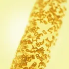 Unternehmen 10 Bild CORVISCOM GMBH Werbung am Essen NW