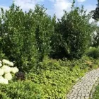 Unternehmen 2 Bild DANIELS GARTENPFLEGE Gartenpflege, Baumpflege am Greifenberg BY
