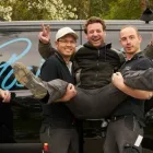 Unternehmen 4 Bild DEKTRO ABEL GMBH Sicherheitsfirmen am Mannheim BW