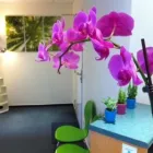 Unternehmen 1 Bild DEN-TINA ,ZAHNARZT STEGLITZ DR.CHRISTINA LIFSCHITZ, STEGLITZER DAMM 96 B, BERLIN Ärzte am Berlin BE
