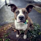 Unternehmen 3 Bild DER PAPAGRAF Tv, Hi-Fi, Film, Foto, Dienstleistungen am Köln NW