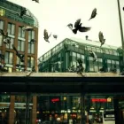 Unternehmen 1 Bild DETEK SCHÄDLINGSBEKÄMPFUNG Service & Dienstleistung am Gelsenkirchen NW