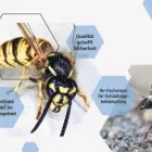 Unternehmen 2 Bild DETEK SCHÄDLINGSBEKÄMPFUNG Service & Dienstleistung am Gelsenkirchen NW