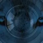 Unternehmen 2 Bild DETEKTEI U. SICHERHEITSBERATUNG WILL Sicherheitsfirmen am Köln NW