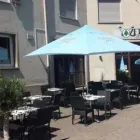 Unternehmen 26 Bild DIE ZEDER LIBANESISCHES RESTAURANT Restaurant & Café am Ludwigshafen Am Rhein RP