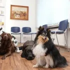 Unternehmen 1 Bild DR. JASPERS & ENGLERT, KLEINTIERPRAXIS Ärzte am Wuppertal NW