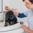 Unternehmen 11 Bild DR. JASPERS & ENGLERT, KLEINTIERPRAXIS Ärzte am Wuppertal NW
