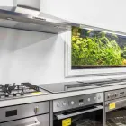 Unternehmen 2 Bild ELEKTRO - HAUSGERÄTESERVICE SCHOLZ & PARTNER KÖLN Service & Dienstleistung am Köln NW