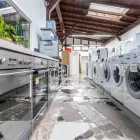 Unternehmen 17 Bild ELEKTRO - HAUSGERÄTESERVICE SCHOLZ & PARTNER KÖLN Service & Dienstleistung am Köln NW