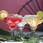 Unternehmen 1 Bild ENCHILADA STUTTGART Restaurant & Café am Stuttgart BW