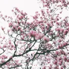 Unternehmen 7 Bild EVENTLOCATION ANGERHOF Veranstaltungsstätte am Duisburg NW