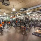 Unternehmen 7 Bild FITX FITNESSSTUDIO Yogaschulen, Gymnastikschulen am Hamburg HH