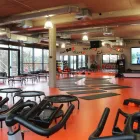 Unternehmen 15 Bild FITX FITNESSSTUDIO Yogaschulen, Gymnastikschulen am Hamburg HH