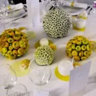 Unternehmen 4 Bild FLORICA FLORISTIK CATERING KÖLN Produktion und Vertrieb von Pflanzen am Köln NW