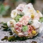 Unternehmen 1 Bild FLORICA FLORISTIK CATERING KÖLN Produktion und Vertrieb von Pflanzen am Köln NW