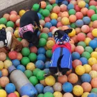 Unternehmen 1 Bild FRANZISKAS ZWERGENAUFSTAND Zoohandlung am Stuttgart BW