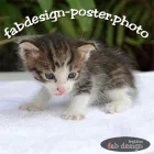 Unternehmen 4 Bild FREDDIESFABDESIGN Tv, Hi-Fi, Film, Foto, Dienstleistungen am Essen NW