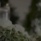 Unternehmen 2 Bild FRIEDRICH NEUHAUS Soziales & Gesellschaft am Düsseldorf NW