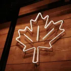 Unternehmen 15 Bild FRITTENWERK ESSEN HBF Vegetarische Restaurants am Essen NW