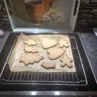 Unternehmen 3 Bild FROSCHBANDE MANNHEIM Soziales & Gesellschaft am Mannheim BW