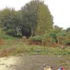 Unternehmen 8 Bild GALABAU TIEGE Spezialbauunternehmen am Moers NW