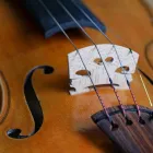 Unternehmen 1 Bild GALERIE TONART Musikinstrumente Einzelhandel am Stuttgart BW