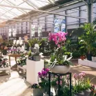 Unternehmen 1 Bild GARTEN-CENTER KREMER GMBH Produktion und Vertrieb von Pflanzen am Remscheid NW