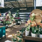 Unternehmen 2 Bild GARTEN-CENTER KREMER GMBH Produktion und Vertrieb von Pflanzen am Remscheid NW