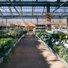 Unternehmen 5 Bild GARTEN-CENTER KREMER GMBH Produktion und Vertrieb von Pflanzen am Remscheid NW