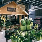 Unternehmen 6 Bild GARTEN-CENTER KREMER GMBH Produktion und Vertrieb von Pflanzen am Remscheid NW