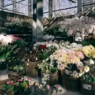 Unternehmen 9 Bild GARTEN-CENTER KREMER GMBH Produktion und Vertrieb von Pflanzen am Remscheid NW